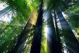 Boulder Creek House | Butterfly House Healing Retreat at FaeryGlenn