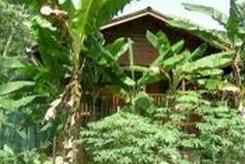 Antoneys Cay Apartment | Hidden Garden Cabins 3