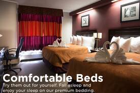 Northeast Edmonton Hotel | Coliseum Inn 13