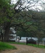 Boscobel Cabin | Driftless Lodge Spacious Cabin