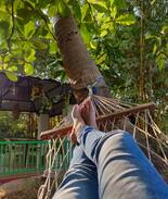 Paud House | DD FARMS , Mulshi farmhouse/bungalow