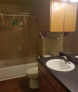 North Loop Apartment | N.Lamar: Economic Spot in Great Community 5