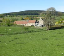 Dunfermline Cabin | Sheardrum Farm Cottage - a quiet, green getaway