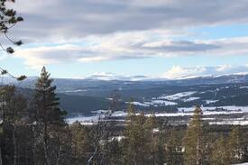 Os Cabin | Lys og moderne hytte på Hummelfjell