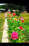 Eminence Cabin | Two Rivers Ozark Cabins