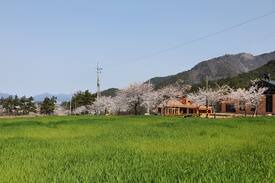 Gochang Cabin | 고창풀빌라펜션 소리재 (독채40평)단독풀장(무료)/노래방/족구장/트렉터 갯벌조개체험