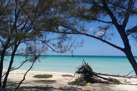 Tarpum Bay Cabin | Culmer Cottage: experience the REAL Bahamas