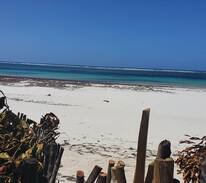 Diani Beach Villa | Ajabu villa at Kivulini Paradise Beach.