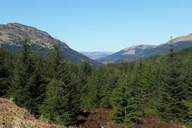 Loch Eck Cabin | Argyll Retreat , Loch Eck, Argyll Forest Park.