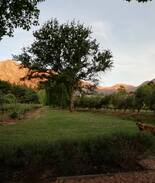 Franschhoek Cabin | Cabernet Cottage . . . Be still and know . . .