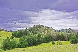 Saguache County Cabin | Bull Elk Lodge