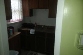 Pittsfield Apartment | Sharon's Place 5 Pet, and 420 friendly!!!!!!