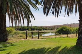Kleinpoort Other | Rhodene Farms