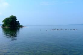 Kingston Cabin | Magical Private Island - Kingston, Ontario