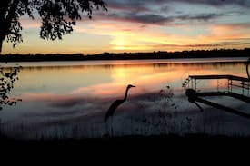 Elk Rapids Cabin | ROSS'S ROOST- Summer Cottage