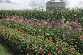 Alpha Other | Northeast Iowa Farm Cottages