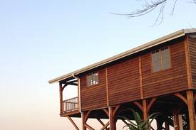 Drummond House | Beautiful log cabin on stilts - 1000 Hills Cabin