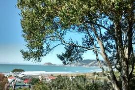 Tokomaru Bay Villa | Tokomaru Bay Ecolodge Exclusive Stay