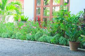 Negombo Bed & Breakfast | Araliya Blue Beach View Hotel