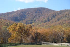 Washington House | The King Mountain House