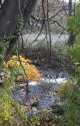 Clifton Forge West House | The Smith Creek Inn...Come sit a spell! (Suite)