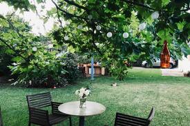 Dhikella Cabin | Plane Tree House