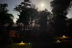 Point Reyes Station Cabin | Inverness Herons Nest- Ideal Getaway for a Couple