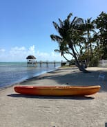 Islamorada House | The Russell Estate, 2 Acrs on OCEAN, tropical 3/2