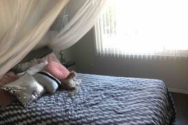 Westwood Apartment | Zen Glen Sunroom— Private bedroom + shared aptmt