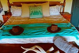 Bloemendal Cabin | Riemland Lodge - Your Private Safari Experience
