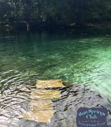 Bell Cabin | Three Cabins at Sun Springs Club on the Suwannee