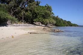 Efate House | CORAL SANDS BEACH BUNGALOWS - MANGO CABIN