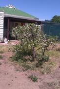 Warracknabeal House | Peaceful & quiet, a great place to call 'home'.
