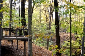 Salem Cabin | "THE STARS" - Creek Ridge Cabins at Lexington