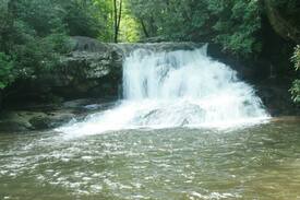 Demorest Apartment | The Tomlin House-Day Hike the Waterfalls of N. GA!