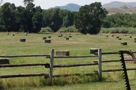 Dillon House | The Farmhouse at Beaver Rock Ranch
