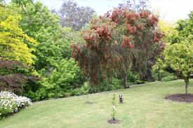 Poraiti House | The Tui's Nest
