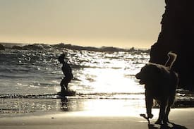 Gold Beach Apartment | Sea Hag- Dog friendly