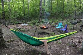 Ozone Other | Rough Cut Hut is a nature lovers paradise!