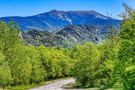 Franconia House | Newly renovated Mittersill Village chalet w/ room for all - dogs welcome!