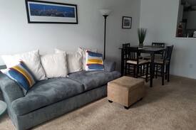 Downtown Seattle Apartment | Condo in downtown, close to Pike Place Market