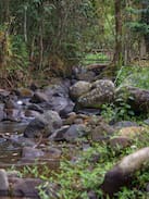 Burgos Other | Stay at Kumaykay River Farm