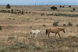 Fields Apartment | Steens Mts/Alvord Desert Retreat (4 day min)