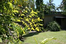 Port Douglas House | The Fisherman's Cottage