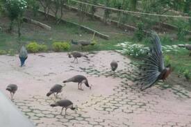 Indore Other | Indore Guesthouse