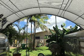 Homestead Other | 1969 Vintage Airstream near Everglades