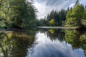 Cottage Lake House | Zen Lakes