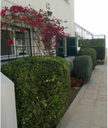 Chlorakas Apartment | Pelagos Hill Apartment with Good Sea Views