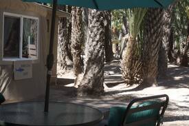 San Ignacio Other | Ignacio Springs Bed & Breakfast, Roberto's Reef Yurt
