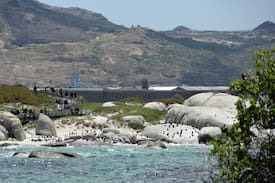 Froggy Farm Apartment | Our Cottage in Simons Town
